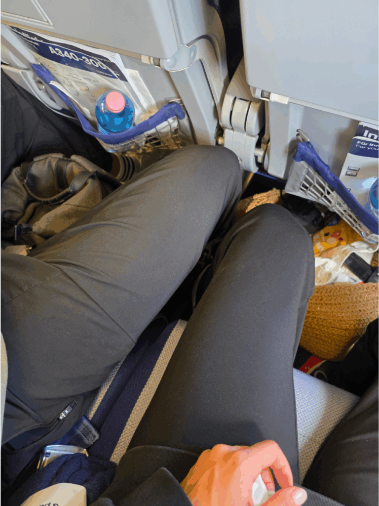 economy lufthansa